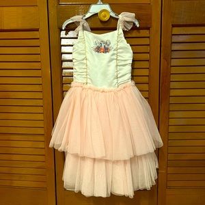 Disney store Princess Dress, 5/6, Like New!